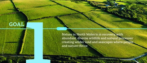 2030 Strategy Goal 1 | North Wales Wildlife Trust